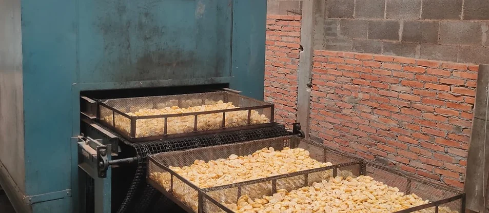 Deshidratadora