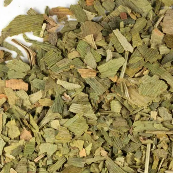GINKGO BILOBA
