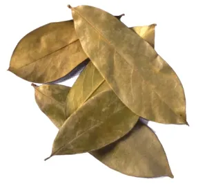 Hoja de Guanábana