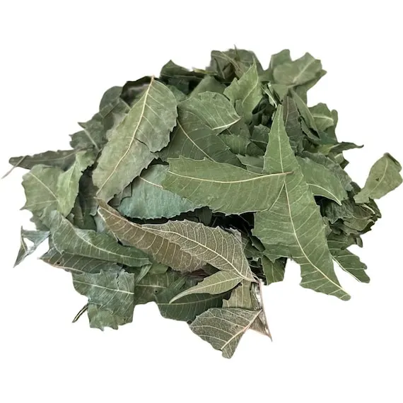 HOJA DE NEEM