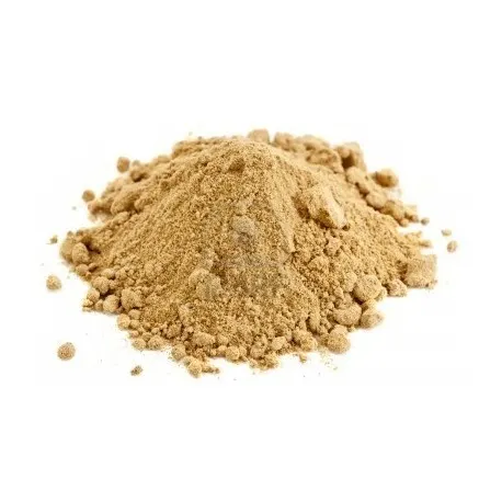 MACA