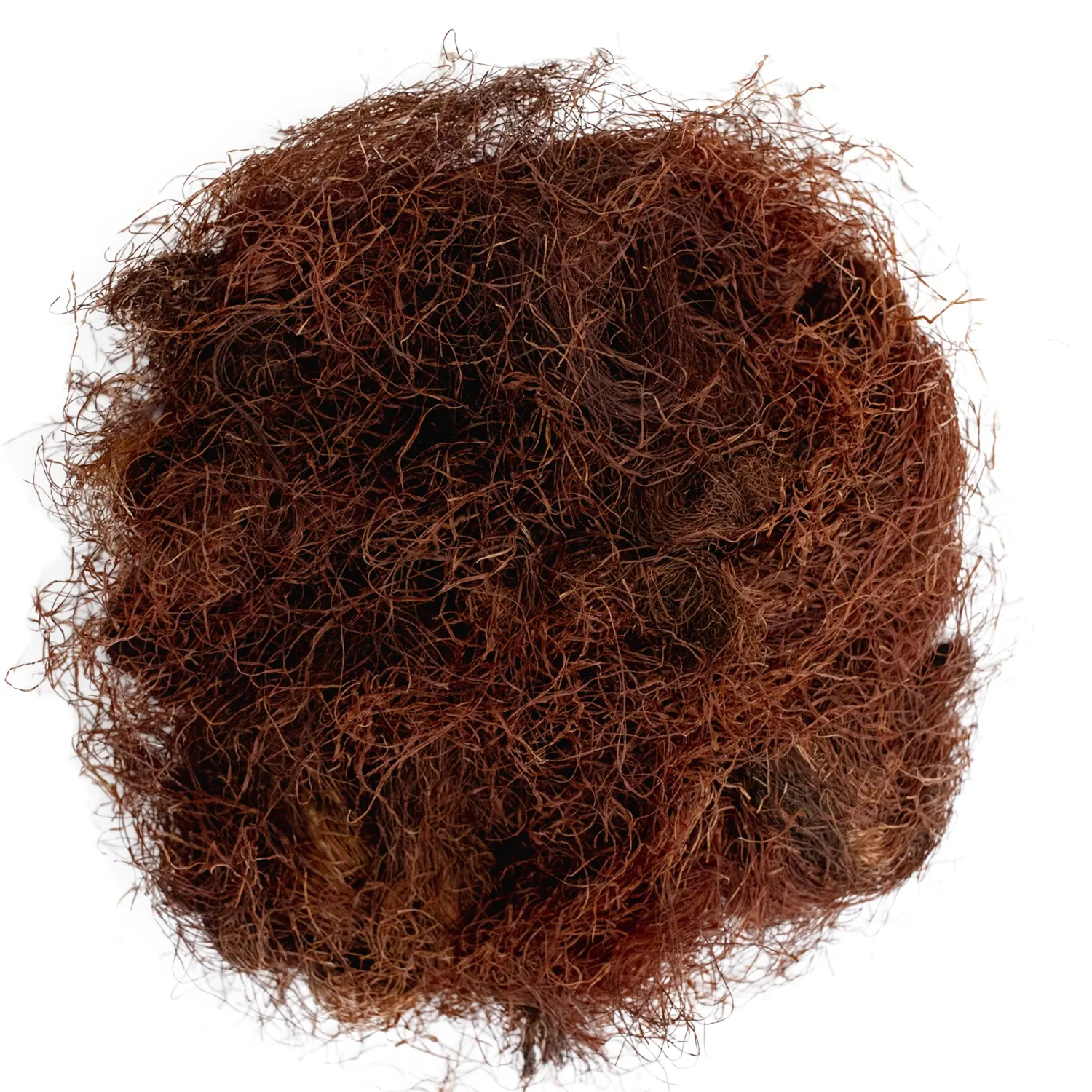 Pelo de elote