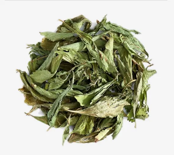 Stevia Hoja